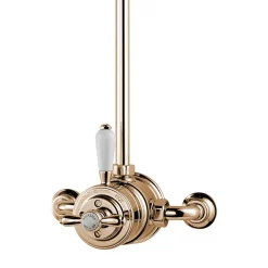Aqualisa - Aquatique Thermo Exposed Thermostatic Valve With 8" Drencher Head & Riser Rail - Gold -Bathroom Extractor Fans Sales 500.10.04551.04 d1
