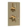 Hudson Reed Tec Pura Twin Concealed Thermostatic Shower Valve - Brushed Brass 2 Hudson Reed Tec Pura Twin Concealed Thermostatic Shower Valve - Brushed Brass -Bathroom Extractor Fans Sales a8003vl