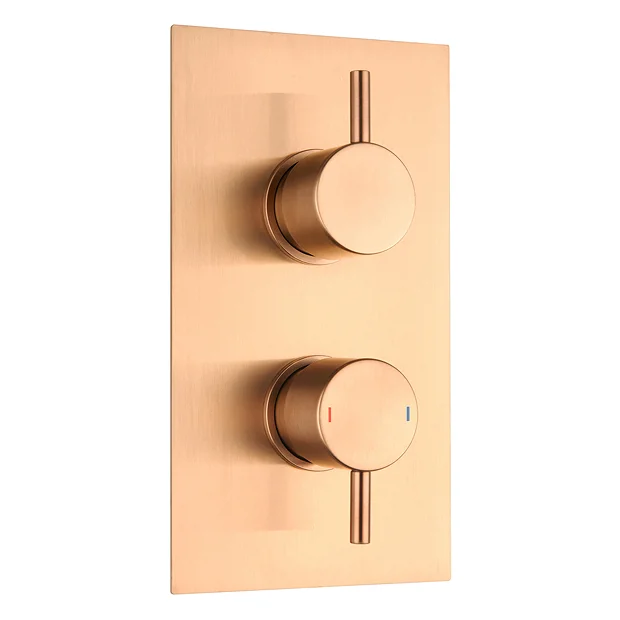 Arezzo Brushed Bronze Round Modern Twin Concealed Shower Valve With Diverter 4 Arezzo Brushed Bronze Round Modern Twin Concealed Shower Valve With Diverter - Image 2