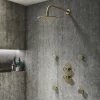 Arezzo Brushed Brass Industrial Style Round Modern Twin Concealed Shower Valve With Diverter -Bathroom Extractor Fans Sales azbbiv2d4