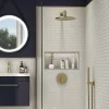 Arezzo Brushed Brass Round Concealed Manual Shower Valve With Diverter -Bathroom Extractor Fans Sales azbbmsvdd1