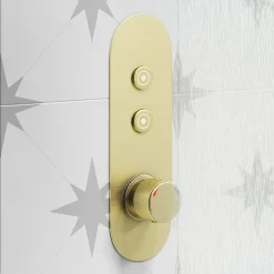 Arezzo Brushed Brass Push-Button Shower With Handset + Rainfall Shower Head -Bathroom Extractor Fans Sales azpb2rbbpk d1