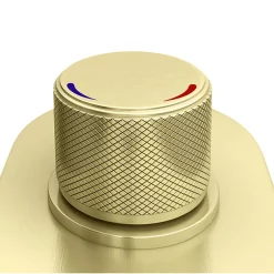 Arezzo Brushed Brass Push-Button Shower With Handset + Rainfall Shower Head -Bathroom Extractor Fans Sales azpb2rbbpk d3