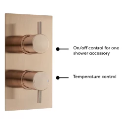 Arezzo Rose Gold Round Modern Twin Concealed Shower Valve -Bathroom Extractor Fans Sales azrgsvnwd1