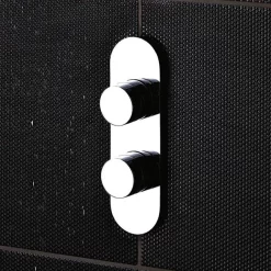 Hudson Reed Indus Twin Concealed Thermostatic Shower Valve