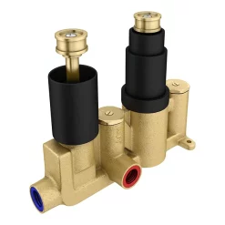 Arezzo Square Modern Concealed Twin Shower Valve - Matt Black -Bathroom Extractor Fans Sales sqv21black d1