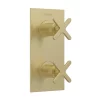 Heritage Bathroom Heritage Salcombe 2 Outlet Twin Concealed Thermostatic Shower Valve - Brushed Brass -Bathroom Extractor Fans Sales ssabb02