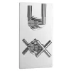 Ultra Helix Concealed Crosshead Thermostatic Twin Shower Valve 2 Ultra Helix Concealed Crosshead Thermostatic Twin Shower Valve -Bathroom Extractor Fans Sales ultrahelixconcealedcrossheadthermostatictwinshowervalvehelv51l