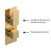 Venice Cubo Twin Thermostatic Shower Valve - Brushed Brass -Bathroom Extractor Fans Sales vc8tw01bb d1